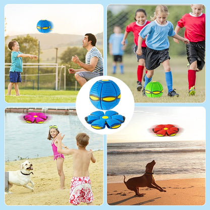 Pet Flying Saucer Ball