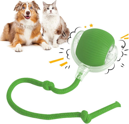 Active Rolling Ball with Tail for Pets 🐶