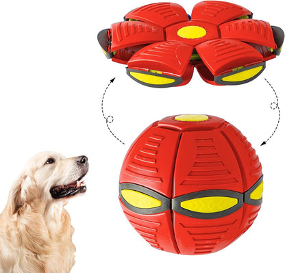 Pet Flying Saucer Ball