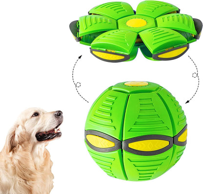 Pet Flying Saucer Ball